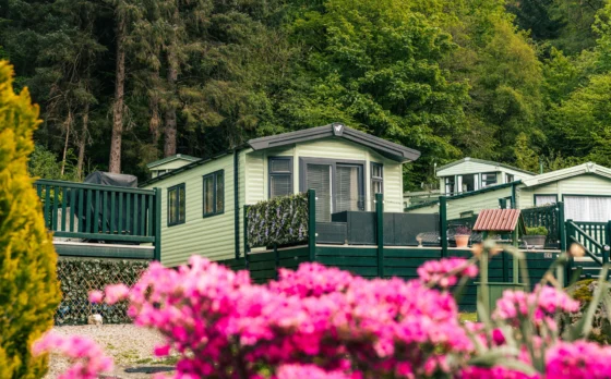 Gallery image from Loch Eck Caravan Park