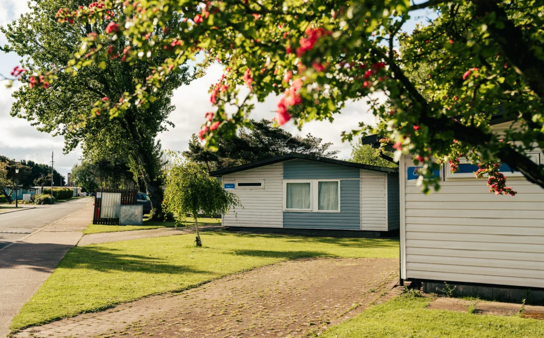 Chalets at Solway